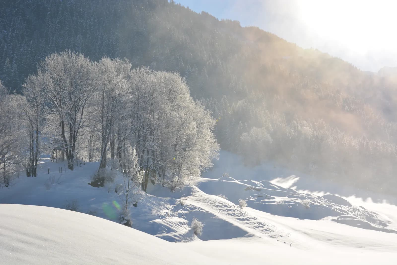 Winter landscape in backlight