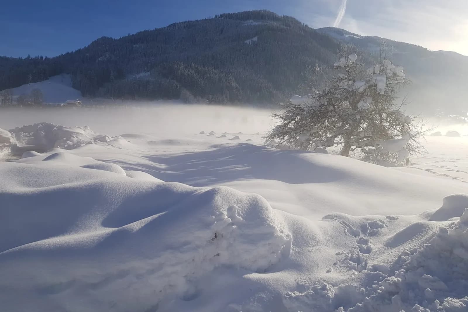 Tief verschneite Winterlandschaft im Taurachtal