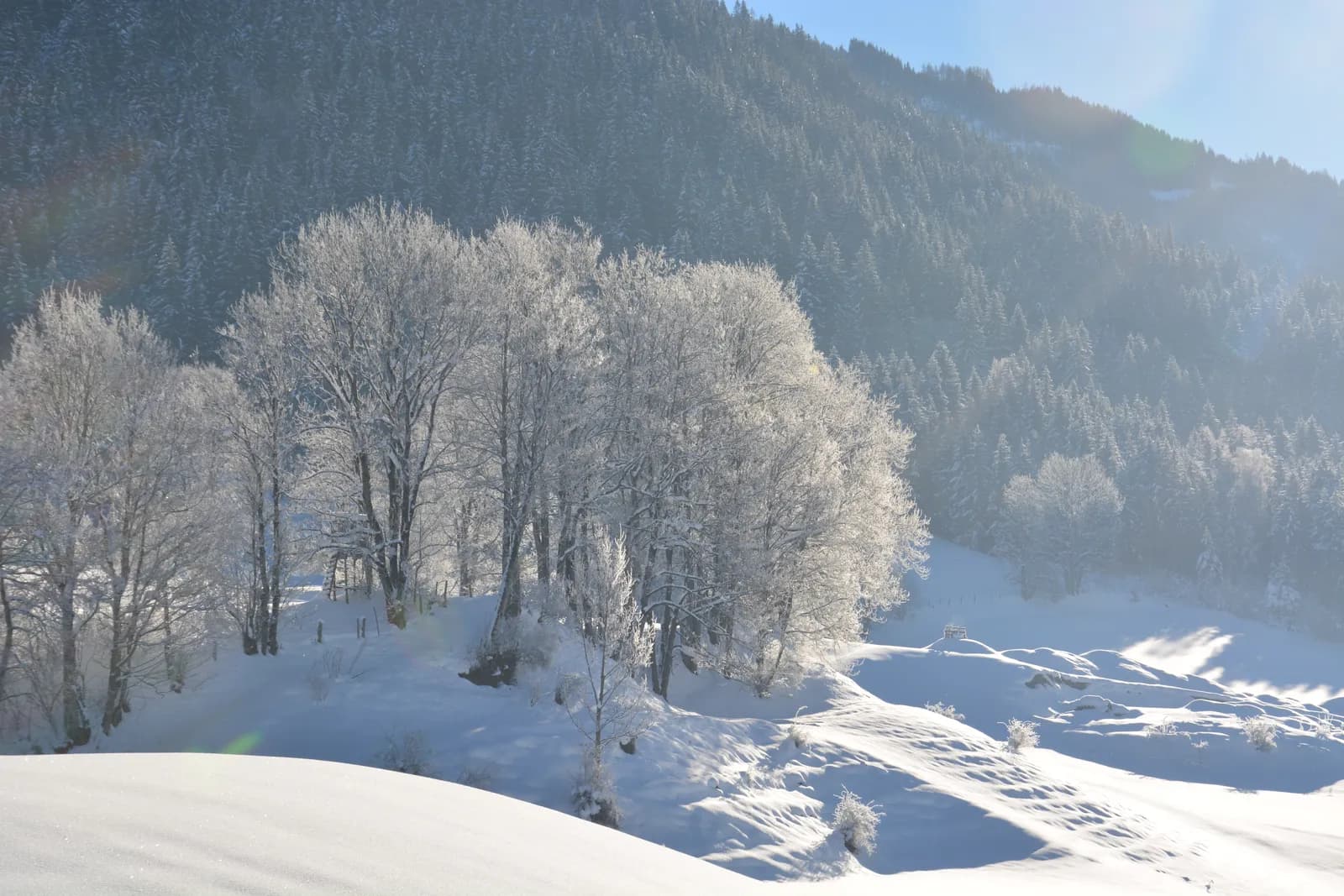 Snow-covered winter landscape near Radstadt