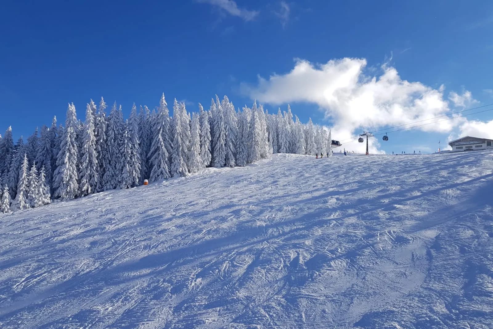 Frisch präparierte Piste mit verschneitem Wald und Sessellift
