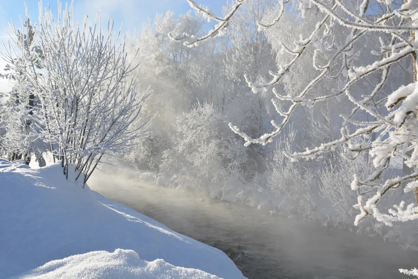 Snow-covered trees along the Enns