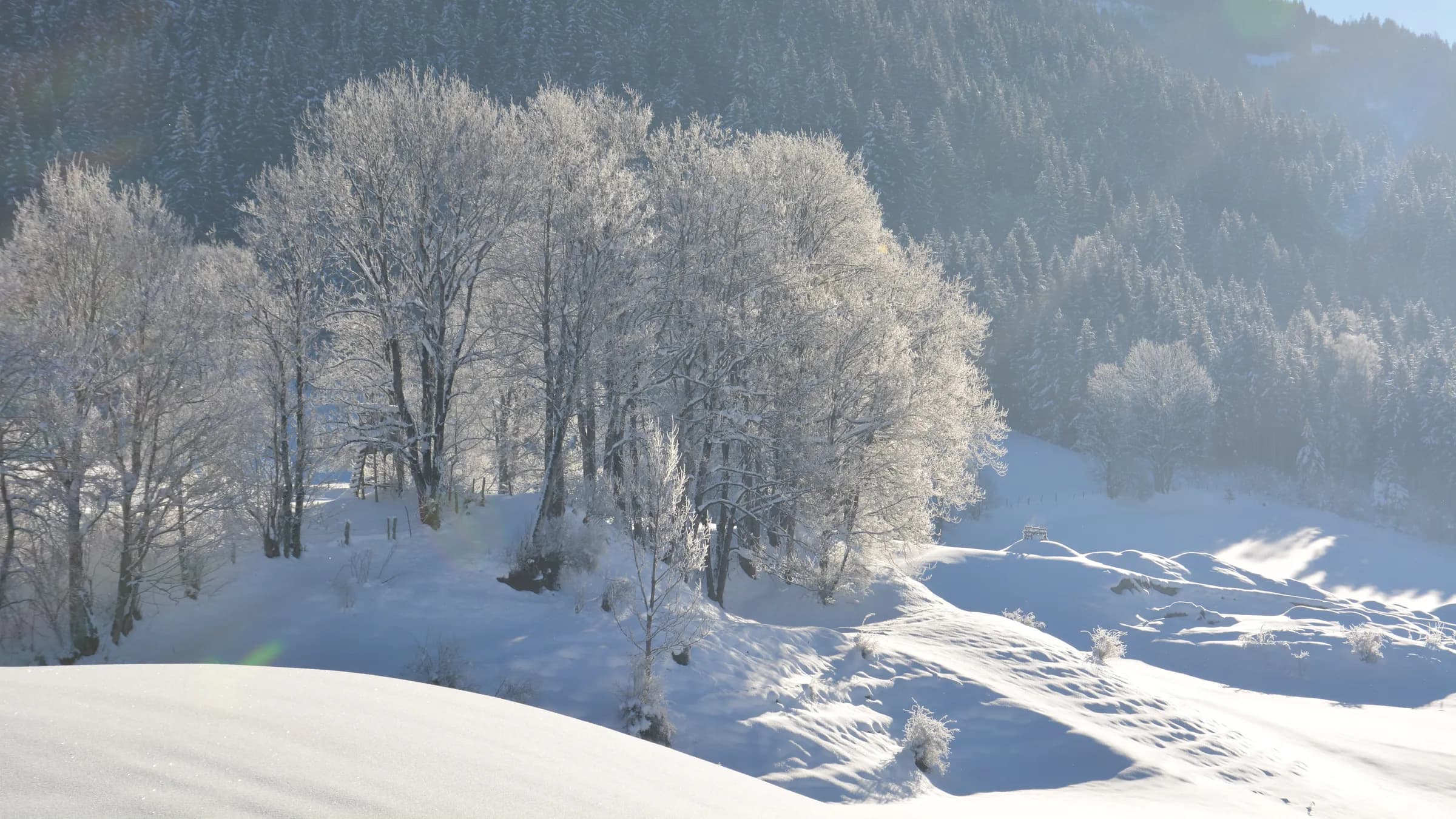 Winter holidays