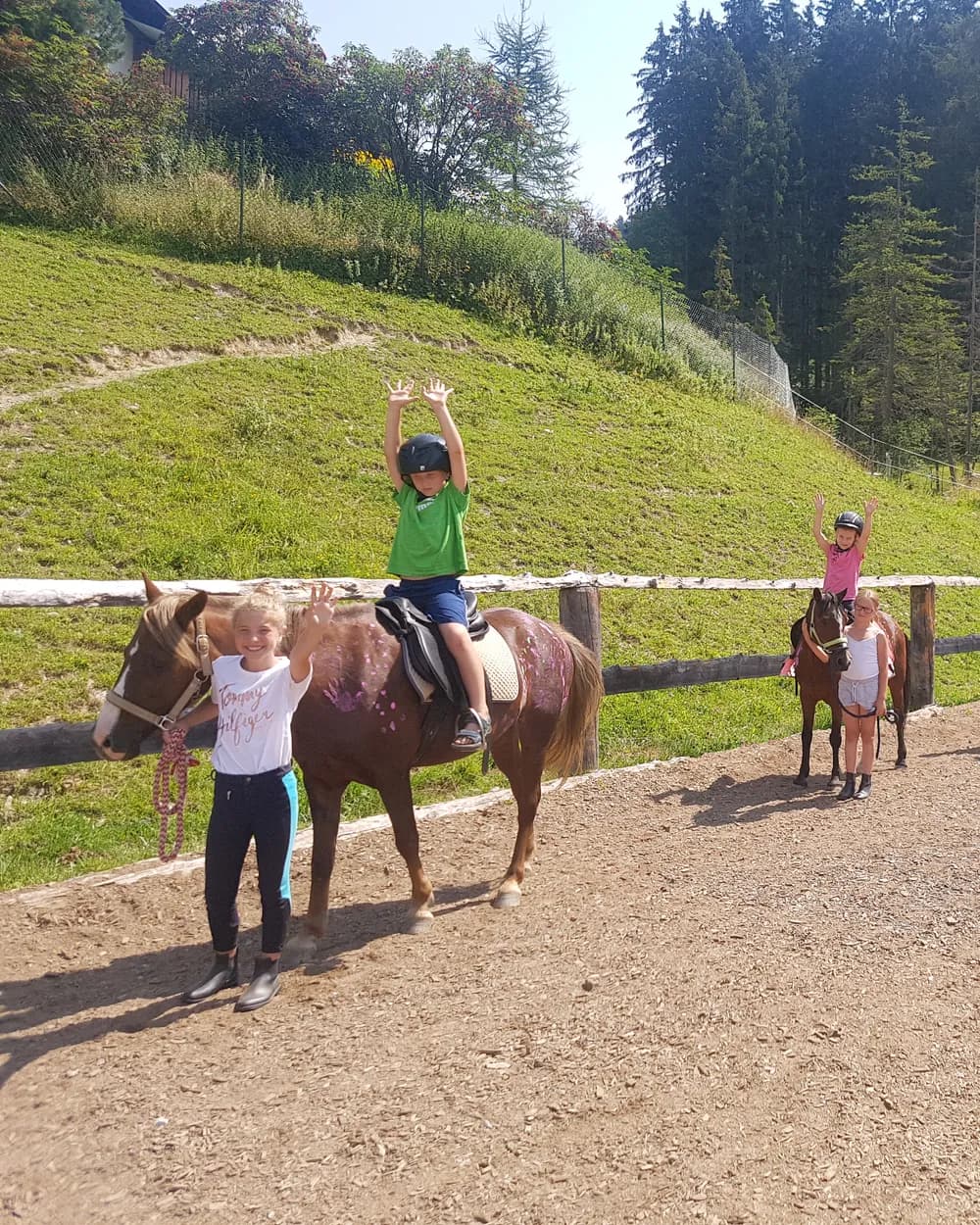 Pony on the riding arena at the Kasparbauer holiday farm