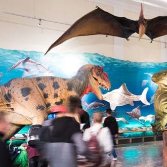 Haus der Natur – Ausflugsziele in Salzburg
