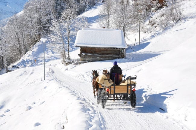 Pferdeschlittenfahrten im Winterurlaub in Radstadt, Salzburger Land