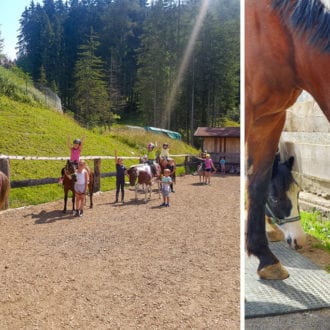 Reit- & Schulbetrieb – Kasparbauer in Radstadt